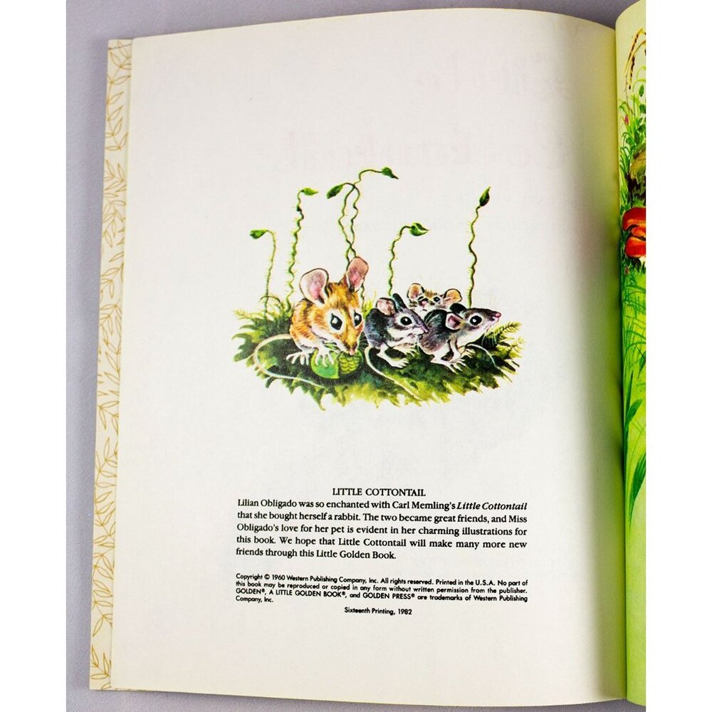 Little Cottontail A Little Golden Book Number 304-43 1982 16th Printing - Picture 4 of 10